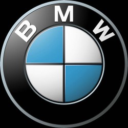 BMW Motorsport (84)