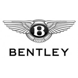 Bentley Motorsport (3)