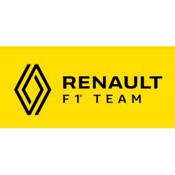 Renault F1 Team (4)