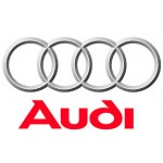 Veste Audi Homme